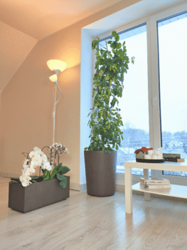 Lillepott veepaagiga, 59 cm, Graniit 14 Lillepott veepaagiga, 59 cm, Graniit 35
